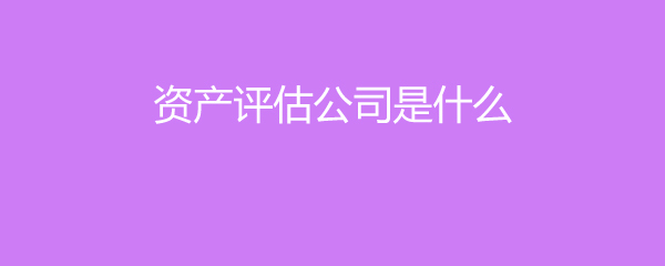 资产评估公司及其服务解析