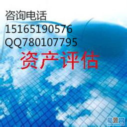 菏泽东明县资产评估服务详解 流程、费用、时间及无形资产评估要点