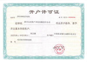 四川山河资产评估有限责任公司 专业评估服务，守护资产价值